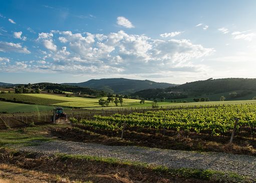 ”UmbriaWine”: da 12 al 14 settembre a Perugia con 33 aziende di Umbria Top