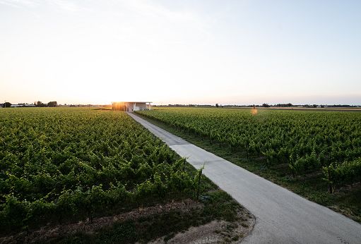Vino, Cantina Ventiventi ancora al fianco della Nazionale Ristoratori