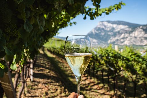Vino, “Trentodoc Festival”: 166 appuntamenti dal 26 al 28 settembre