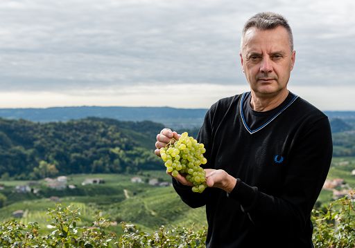 Dall’Acqua: continua crescita Prosecco Doc porta a spirale al ribasso