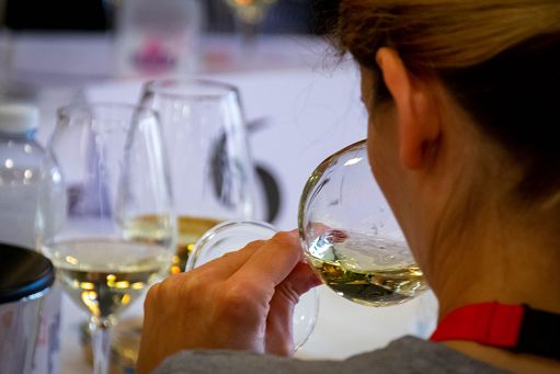 Vino, ad Asti torna la Scuola universitaria per Maestri assaggiatori