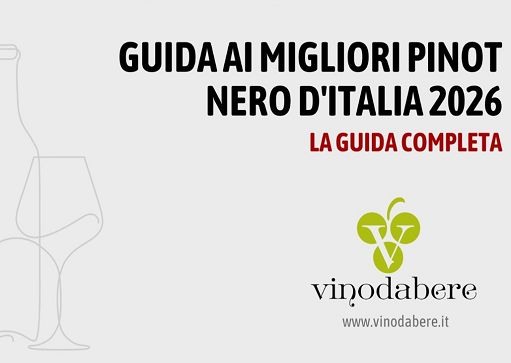 Online la Guida 2026 ai migliori Pinot Nero d’Italia di Vinodabere.it