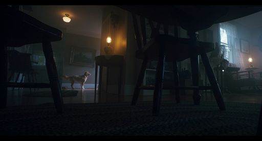 Cinema, l’horror “Good Boy” aprirà Alice nella città