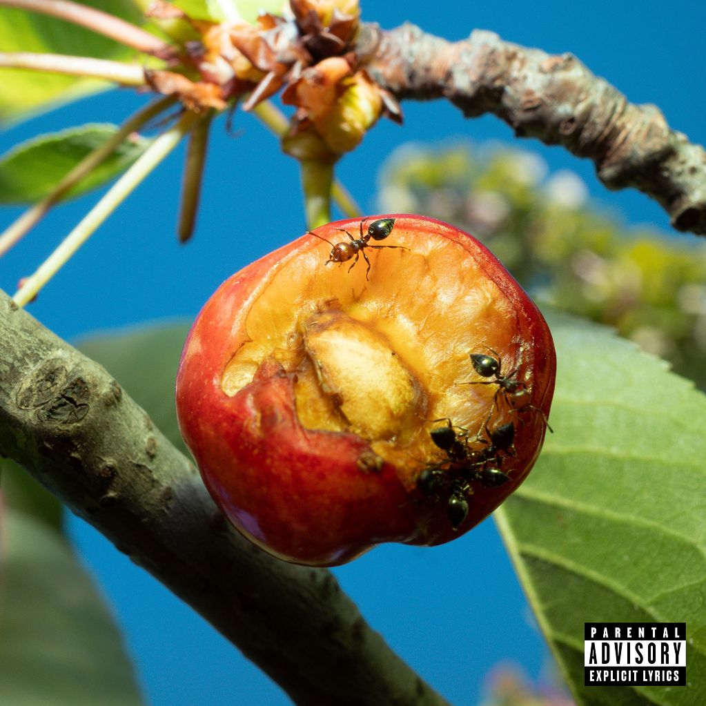 ”Discordia, armonia e altri stati d’animo” è il nuovo album di Mecna