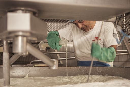 Lactalis investe 27 mln nel caseificio della mozzarella di bufala Mandara