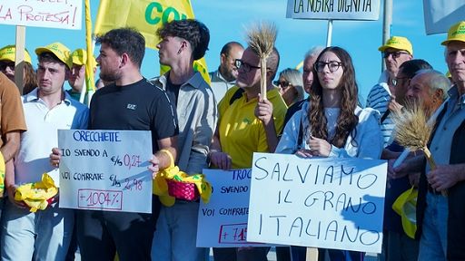 Coldiretti: Lollobrigida accoglie nostre richieste su grano duro
