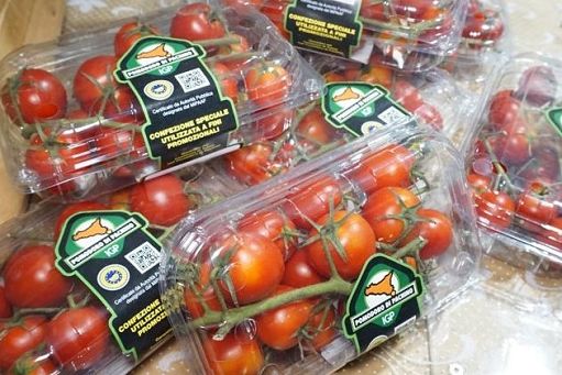 Il Pomodoro di Pachino Igp a Fruit Attraction a Madrid