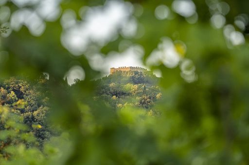Il 12 ottobre Asolo Montello celebra vino e territorio a Villa di Maser