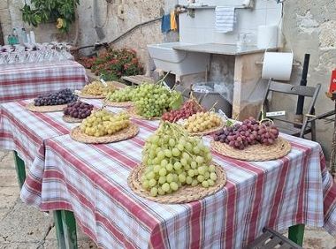 Uva da tavola, nel futuro innovazione varietale e mercati asiatici