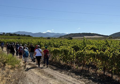 ”Sentieri del Carignano”: il Sulcis tra borghi, miniere, vigne e mare