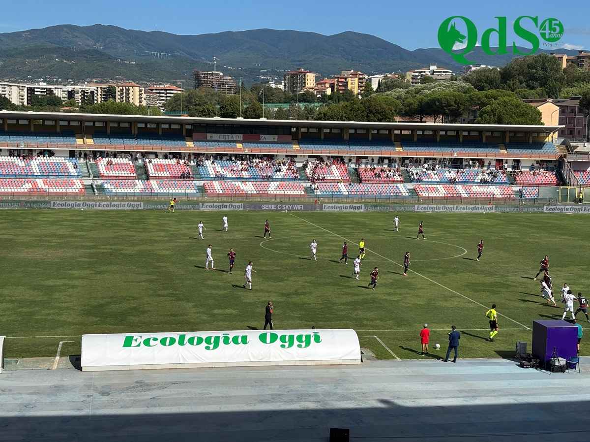 Il Catania crolla a Cosenza, bagno di umiltà per i rossazzurri: i Lupi vincono 4-1. Il racconto e le pagelle