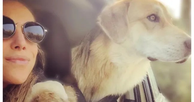 Addio alla giovane volontaria Elena Antonelli: non aveva mai smesso di cercare il suo cane Gully