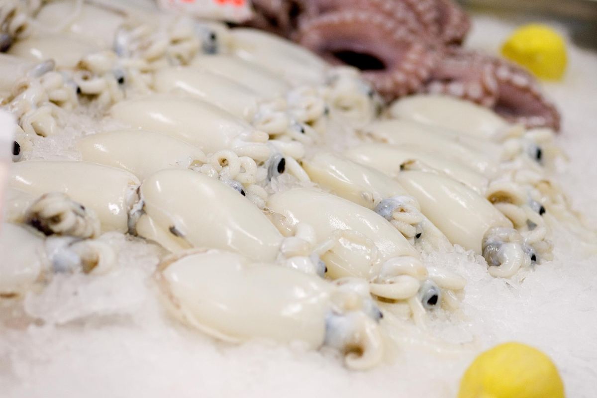 Uomo pesca un calamaro gigante in mare ma gli spruzza in faccia l’inchiostro