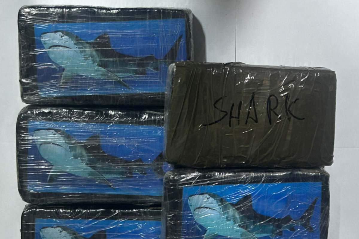 VIDEO | Siracusa, trasportavano in taxi 6 kg di cocaina: arrestate due persone