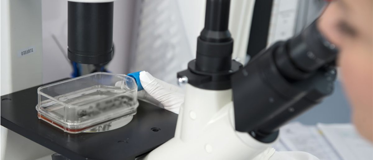 Il sensazionalismo e la scienza: il caso del paracetamolo e della carne di pollo