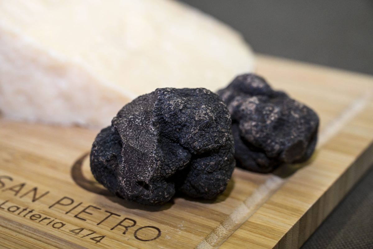 Sicilia terra da tartufo, ecco il progetto sperimentale dell’assessorato regionale all’Agricoltura