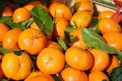 Confagricoltura a Fruit Attraction a Madrid