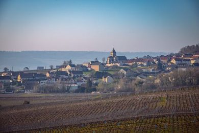 Caca (Ca’ di Rajo): lo Champagne in Italia cresce ma il B2B soffre