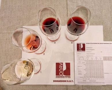 Vino, Onav entra nel Master Iulm di “Food and Wine Communication”