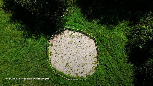Rete Clima porta al Salone della Csr una piccola BioForest