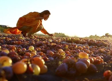 Pasqua Vini investe a Pantelleria nel progetto di Carole Bouquet