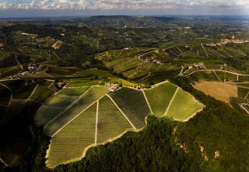 Bersano apre al pubblico Cascina Badarina a Serralunga d’Alba Bersano apre al pubblico Cascina Badarina a Serralunga d’Alba