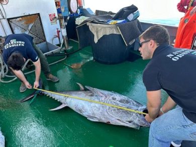 Parlamento Ue conferma accordo su pesca tonno con Costa d’Avorio