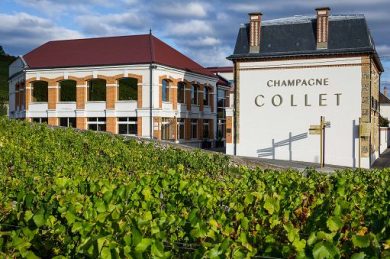 ”Champagne Collet” sceglie 101 Vini per la distribuzione in Italia