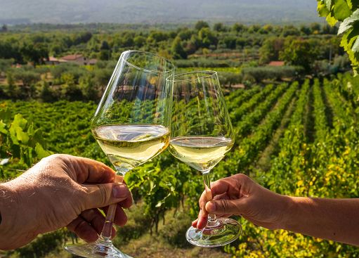 A Riva del Garda debutta “Fine Italy”, salone dedicato a enoturismo B2B A Riva del Garda debutta “Fine Italy”, salone dedicato a enoturismo B2B