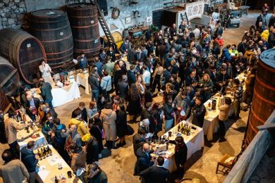 Vino, a “Incontri Rotaliani 2025” protagonisti Teroldego e Syrah