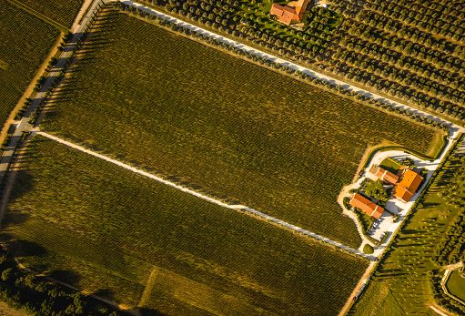 ”Anima di Arnione 2021″: Merlot limited edition di Campo alla Sughera