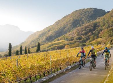 Con il Consorzio Vini Alto Adige un autunno di vino, sport e cultura