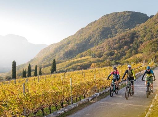 Con il Consorzio Vini Alto Adige un autunno di vino, sport e cultura Con il Consorzio Vini Alto Adige un autunno di vino, sport e cultura