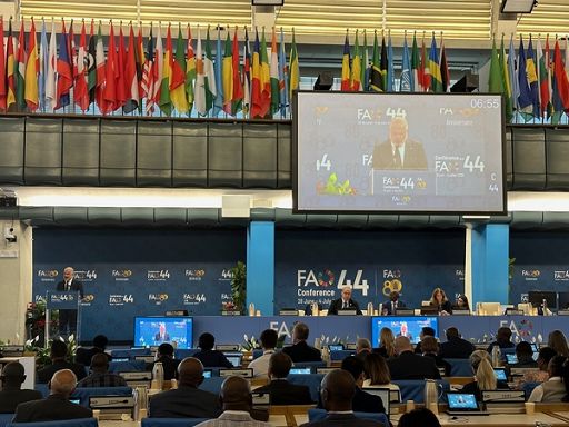 Martina (Fao): cooperare per garantire sicurezza alimentare