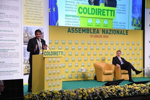 Pac, Fitto: non esiste scontro Parlamento-Consiglio ma confronto