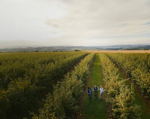 La risposta Ferrero a crisi nocciole: al via scuola tecnica per la filiera La risposta Ferrero a crisi nocciole: al via scuola tecnica per la filiera