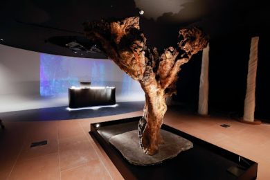 Inaugurato nuovo museo Alimentazione e Agricoltura alla Fao