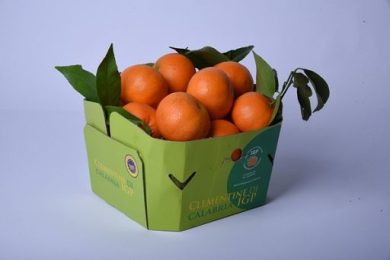 Maria Salimbeni a guida del Consorzio Clementine Calabria Igp