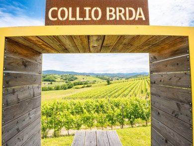 Vino, da 25 ottobre “Collio Evolution”: evento istituzionale Denominazione
