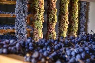 Il Recioto della Valpolicella diventa Presidio Slow Food