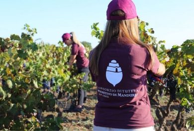 Questa sera “Calici di Puglia” porta i vini Dop regionali alla Camera
