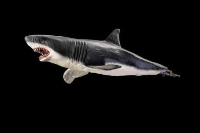 A Roma “Movie Icons”, in mostra oggetti originali da set di Hollywood