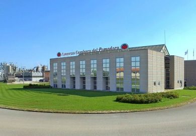 Casalasco: nel 2025 lavorate 800mila tonnellate di pomodoro