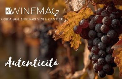 ”Guida Winemag 2026″: l’autenticità al centro del vino italiano