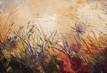 Mostre, al Museo Civico di Zoologia di Roma arriva “Still Life”