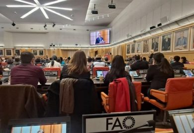 Il 3 novembre il rapporto Fao su stato alimentazione e agricoltura