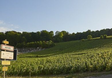 Champagne, “Il tempo rivela” il nuovo volto di Maison Frerejean Frères