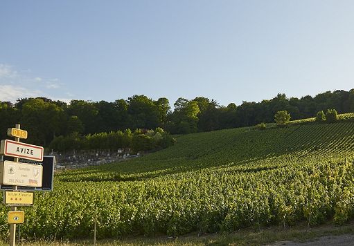 Champagne, “Il tempo rivela” il nuovo volto di Maison Frerejean Frères