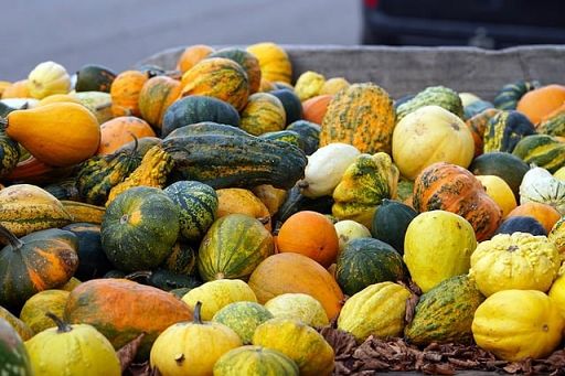 Prezzi ingrosso ortofrutta a ribasso per clima e buona produzione