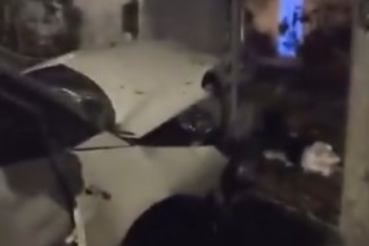 VIDEO | Una bomba distrugge l’auto di Sigfrido Ranucci: “Ordigno in grado di uccidere”